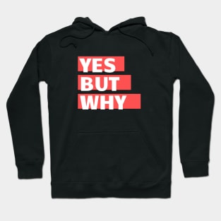 Yes but why? Hoodie